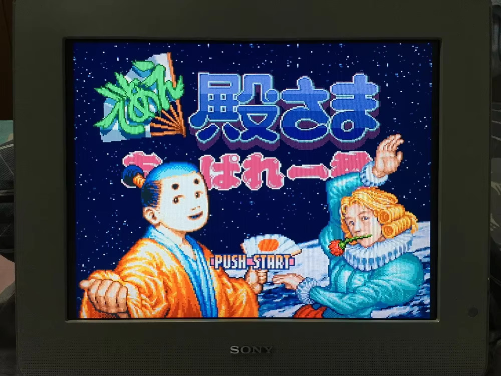 16bits game cards : 84 IN 1 ca - Japanese Lifestyle In Japanese 评论和价格